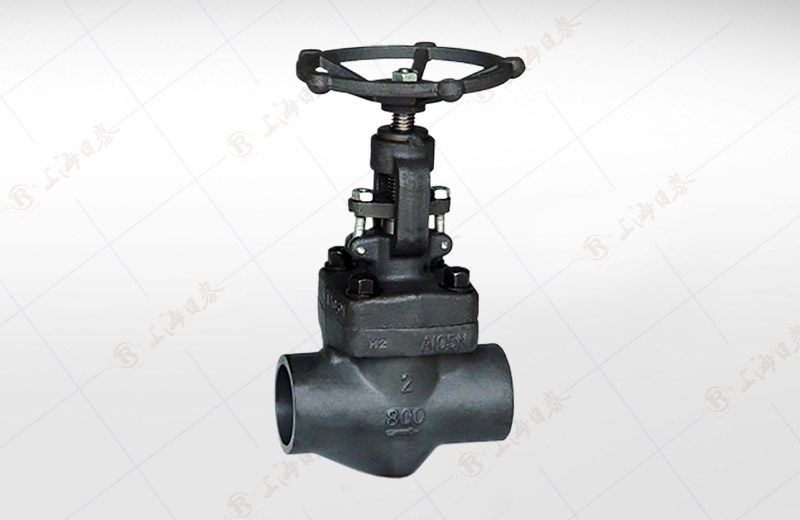 Forged Female Threaded, SW Globe Valve